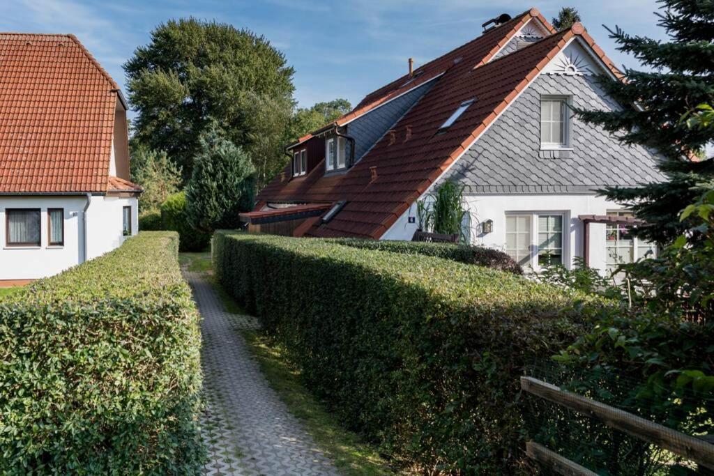 Weide - Gemutliches Ferienhaus Am Anger In Kloster, Insel Hiddensee Zewnętrze zdjęcie